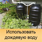 Дождевая вода для полива Дождевая вода для полива