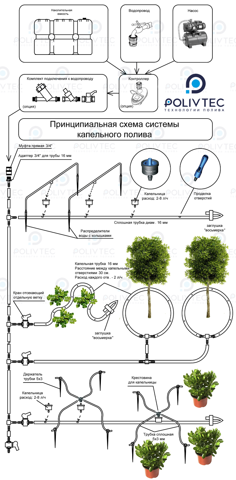 капельный полив или капельное орошение