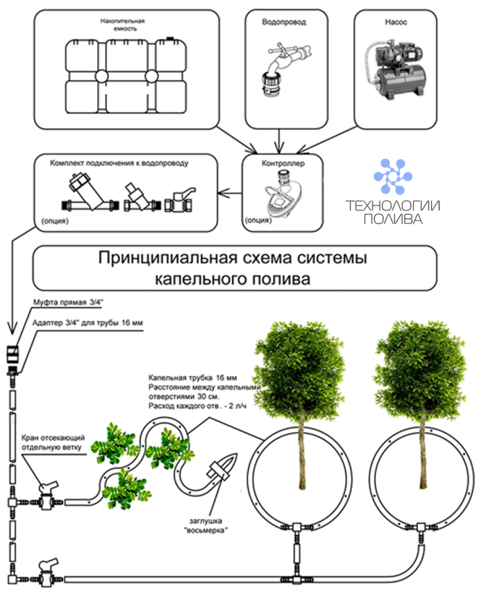 Капельный полив чертеж